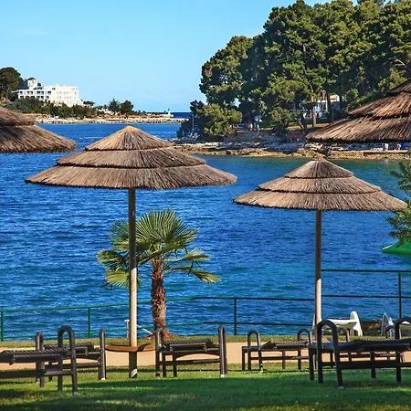 Beautiful In Near Sea Poreč